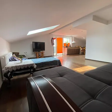 Przy Wikingach Apartment *